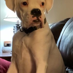 Meet your Posher, Sherry